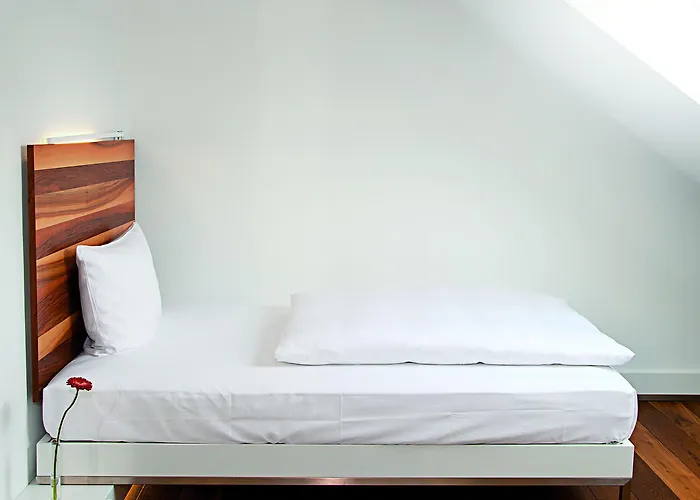 豪博圣约瑟夫酒店 酒店