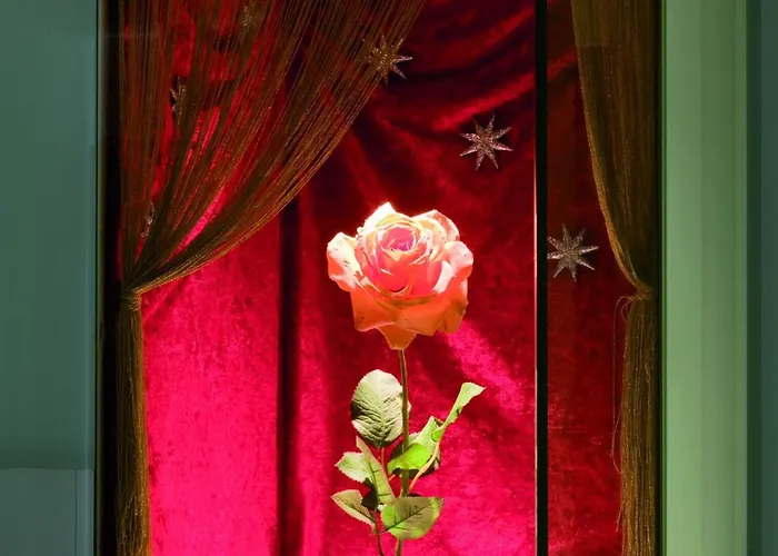 酒店 豪博圣约瑟夫酒店 4*